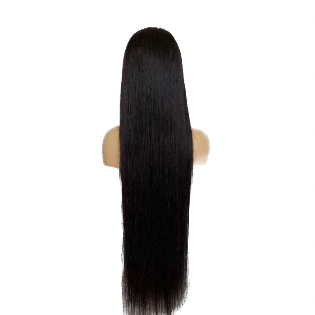 Straight Lace Front Wig